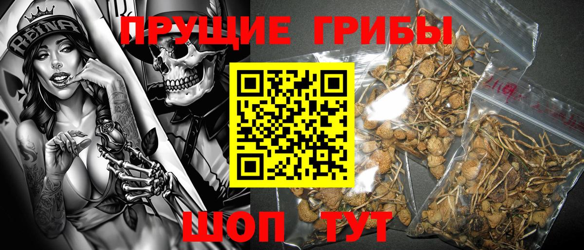 Галлюциногенные грибы GOLDEN TEACHER  Вход с VPN  Каменск-Шахтинский 