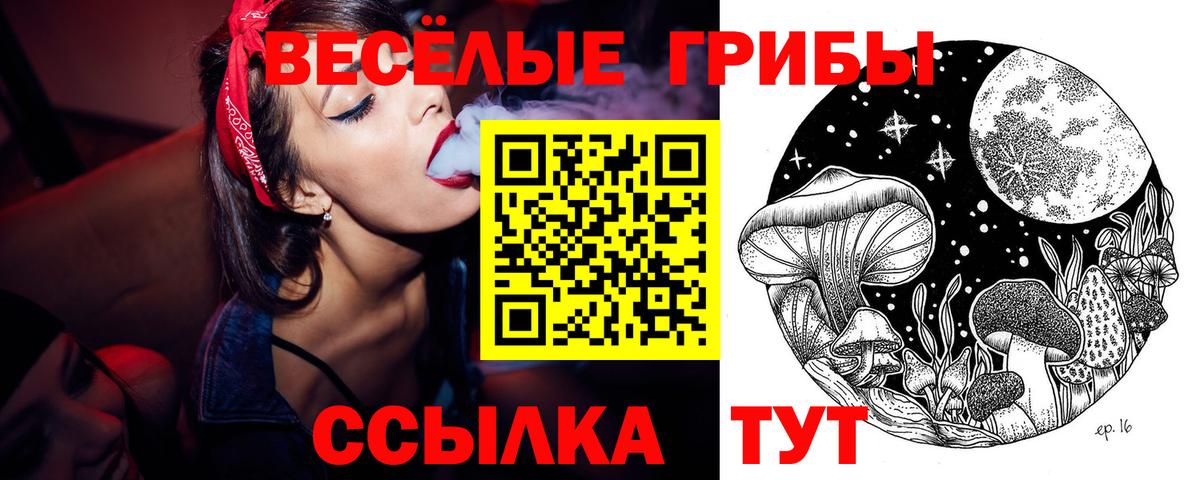Псилоцибиновые грибы мицелий Каменск-Шахтинский